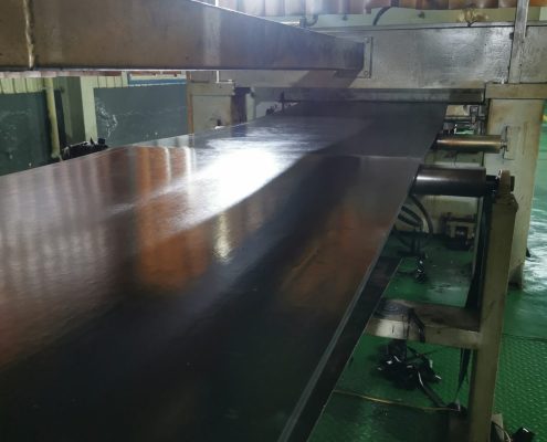 nylon conveyor belt6