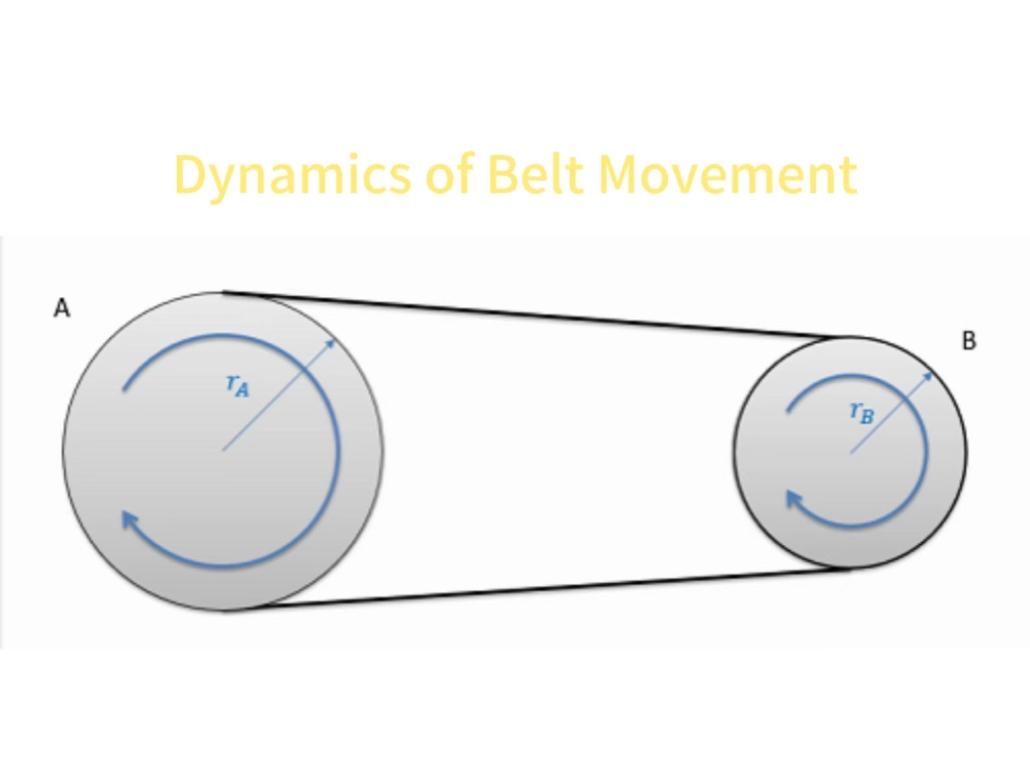 Dynamics of Belt Movement