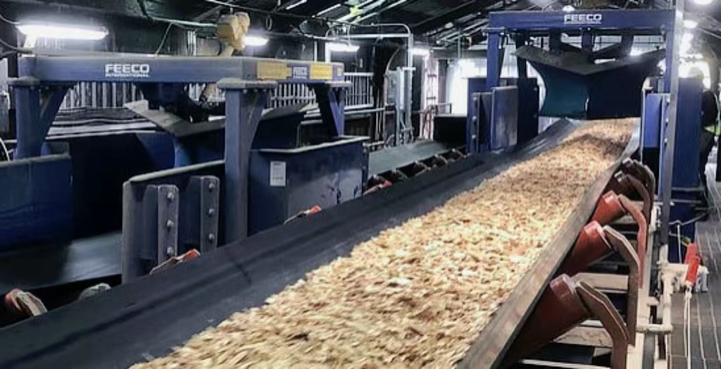 Key Considerations for Building a Wood Conveyor Belt