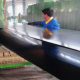 conveyor belt ep 800 4